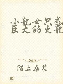 小龙女只感觉那巨大的火龙枪