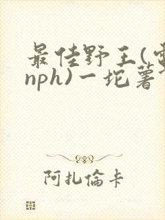 最佳野王(电竞nph)一坨薯饼封面