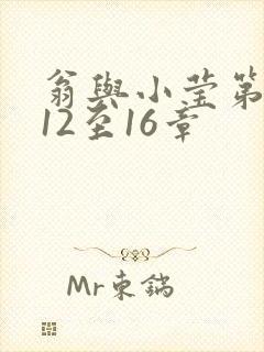 翁与小莹第十部12至16章