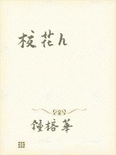 校花h
