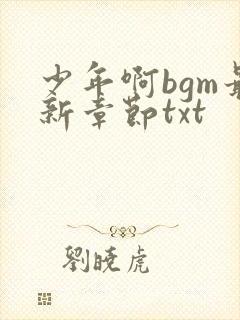 少年啊bgm最新章节txt