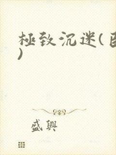 极致沉迷(臣年)封面