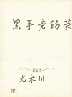 黑手党的荣耀