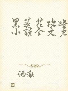 黑莲花攻略手册小说全文免费阅读笔趣阁