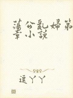 荡公乱妇第51章小说