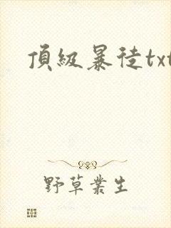 顶级暴徒txt