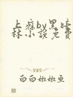 上瘾by黑暗森林小说免费封面