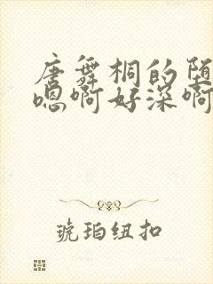 唐舞桐的堕落H嗯啊好深啊封面