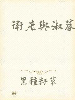 卫老与淑蓉封面