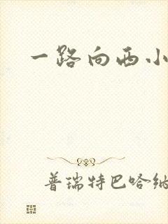 一路向西小说