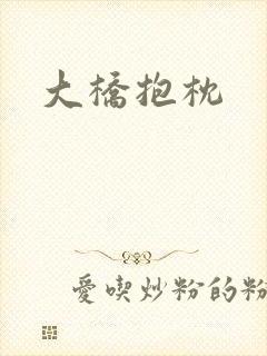 大桥抱枕