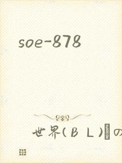 soe-878