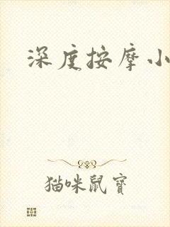 深度按摩小说