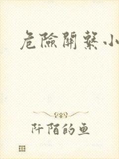 危险关系小说