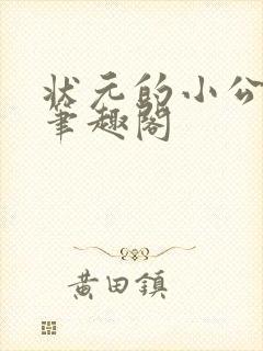 状元的小公主 笔趣阁