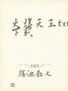 火爆天王txt下载封面