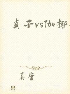 贞子vs伽椰子