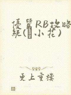 优质RB攻略系统(寀小花)封面