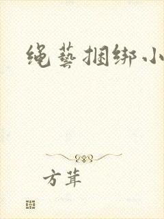 绳艺捆绑小说封面