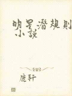 明星潜规则之皇 小说