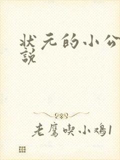 状元的小公主小说封面
