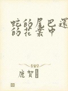 蛇的尾巴还在我的花丛中