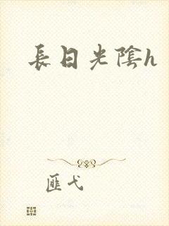 长日光阴h封面