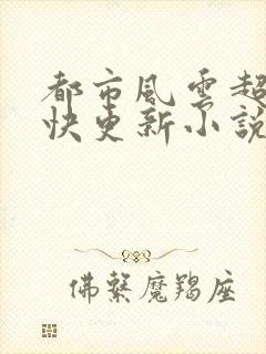都市风云超前超快更新小说