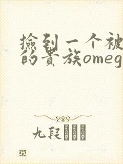 捡到一个被抹布的贵族omega