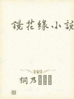 镜花缘小说封面