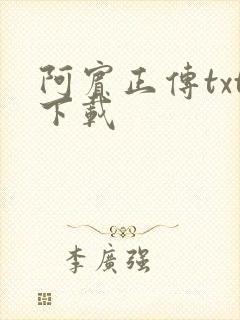 阿宾正传txt下载封面