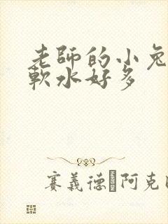 老师的小兔子好软水好多封面