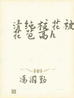 清纯校花被迫开花苞高h封面