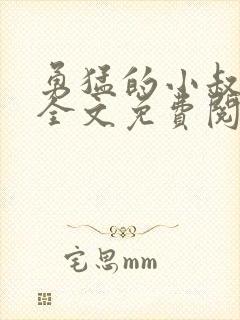 勇猛的小叔小说全文免费阅读