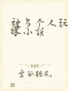 被多个人玩屁股眼小说封面