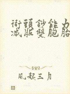 街头钞能力无删减版双胞胎封面