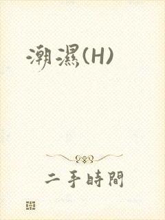 潮湿(H)