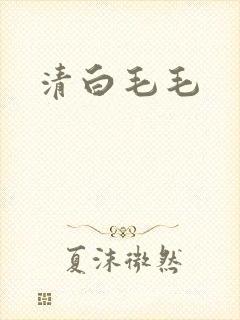 清白毛毛