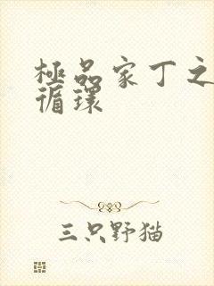 极品家丁之因果循环