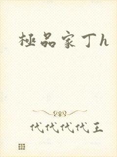 极品家丁h