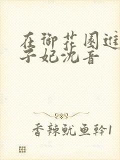 在御花园进入太子妃沈音