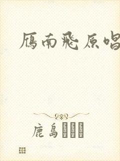 雁南飞原唱