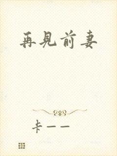 再见前妻