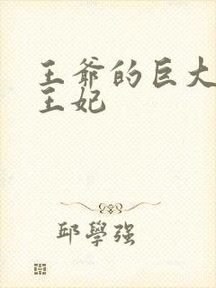 王爷的巨大进入王妃