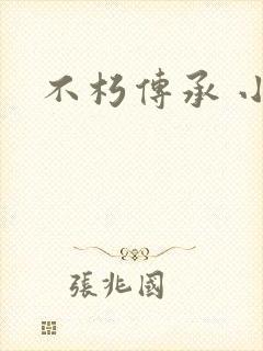 不朽传承 小说
