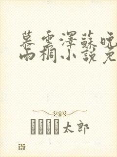 慕云泽苏晚晴夏雨桐小说免费阅读封面