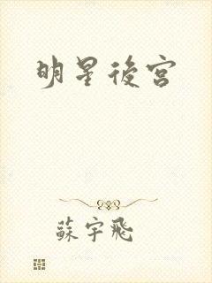 明星后宫