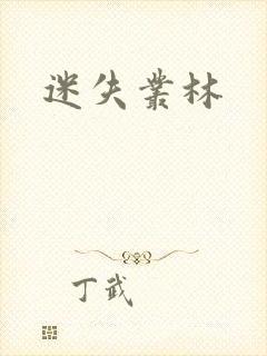 迷失丛林