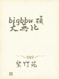 bigbbw硕大无比封面