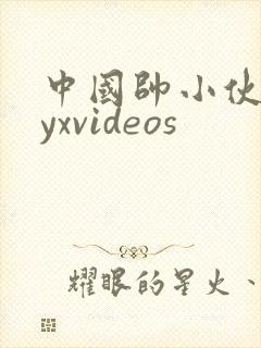 中国帅小伙gayxvideos